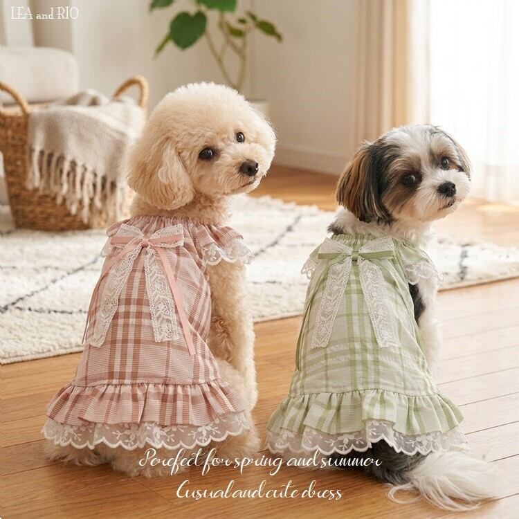 Oliver Gal OG68-2 Peek a Boo Frenchie フレブル 絵 アート