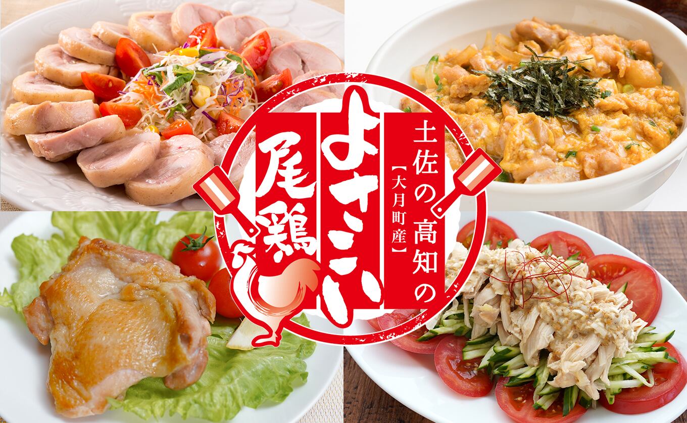 高知県産若鶏 むね肉2.3kg ブランド鶏 よさこい尾鶏 | 高知県大月町の