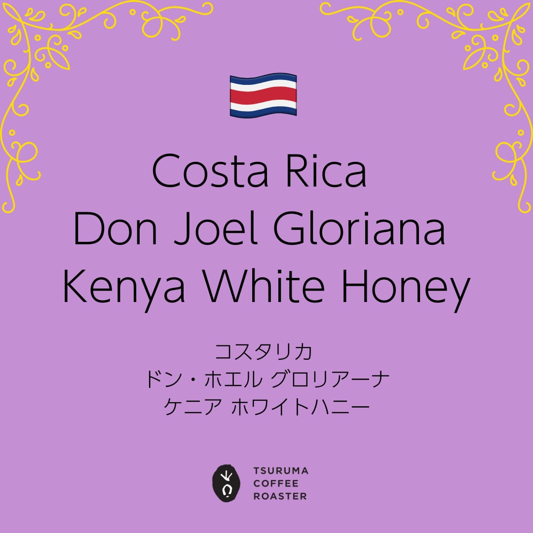 《直接来店受取》Costa Rica Don Joel Gloriana Kenya White Honey 100g