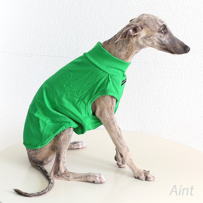 イタグレ タンクトップ 袖なし ウィペット ミニピン イタグレ服 無地