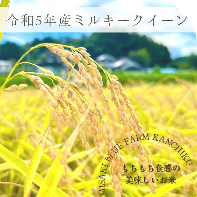 令和5年岡山県産ミルキークイーン玄米30kg（精米可）