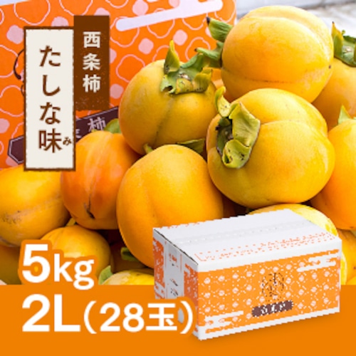 西条柿 2L 28玉（5ｋｇ） たしな味【2023年11月初旬頃より発送開始】