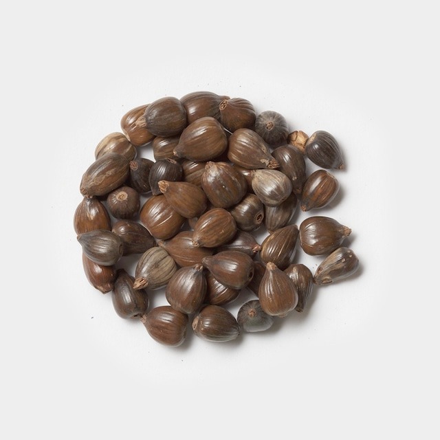 シングルハーブ　はと麦（ラージ100ｇ）