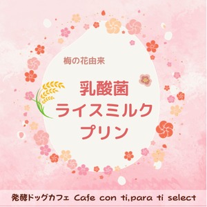 発酵シェアスイーツ 梅の花植物由来 乳酸菌ライスミルクプリン　2個セット