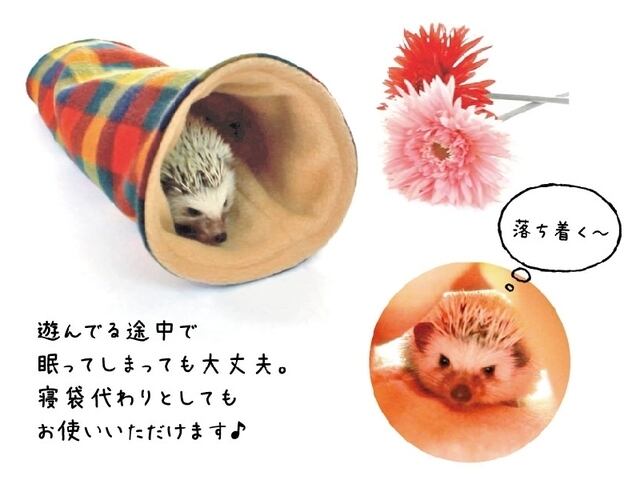 ハリちゃんのお遊びトンネル M チェック ブルー / Regular Deformable