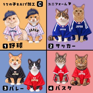生成AI合成【C】ユニフォーム♥ 愛猫さんの画像をAIで合成してグッズを作る！