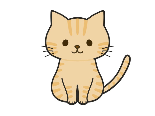 【定期便：3ヶ月】龍星さま専用　キャットフードセット