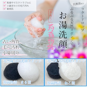 定期便【ラクトドロップ】日本製 蒟蒻物語 ねこ型 洗顔スポンジ