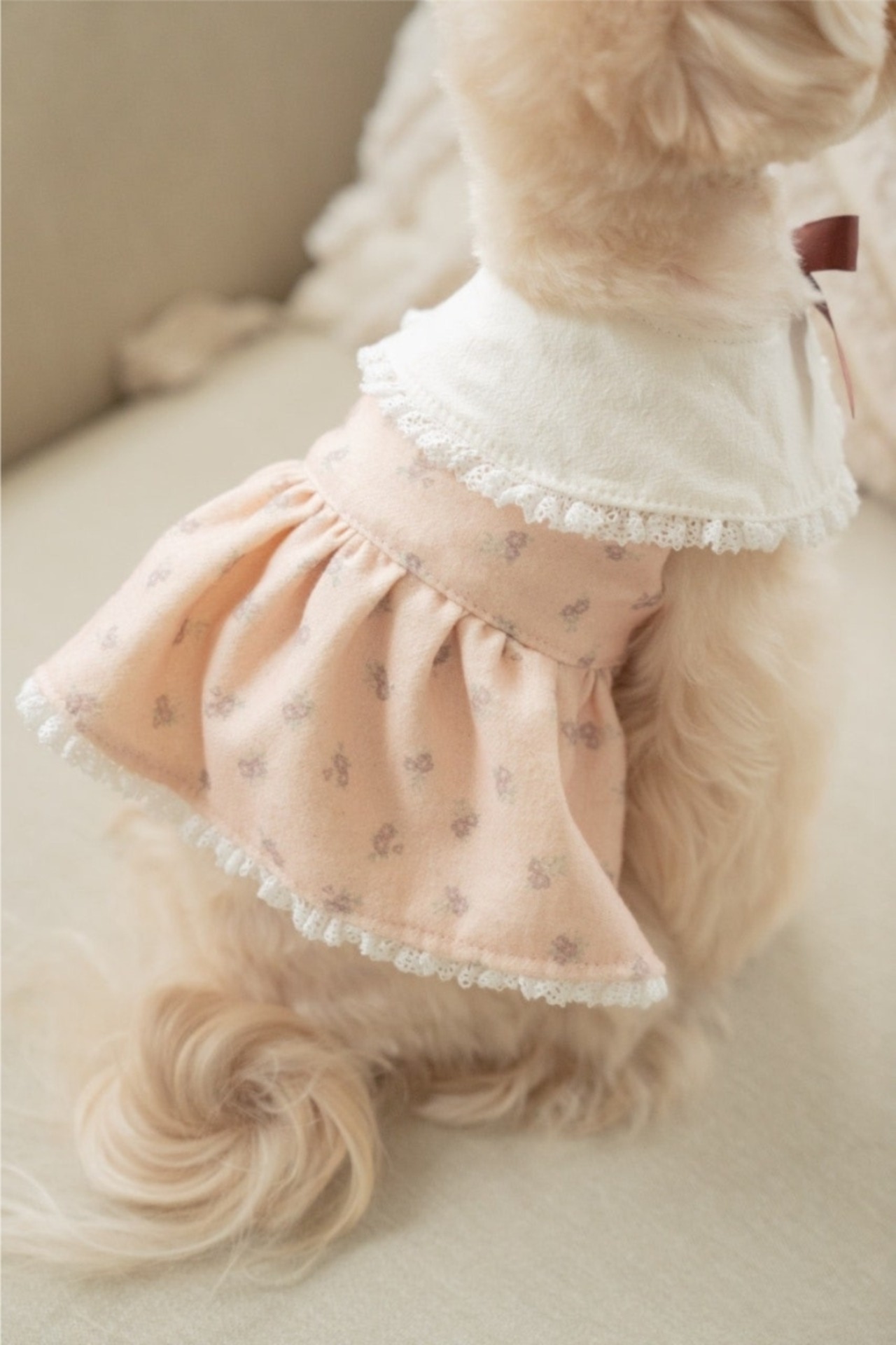 予約  【pecoramou select】Vintage Rose Dress （Brown Ribbon）