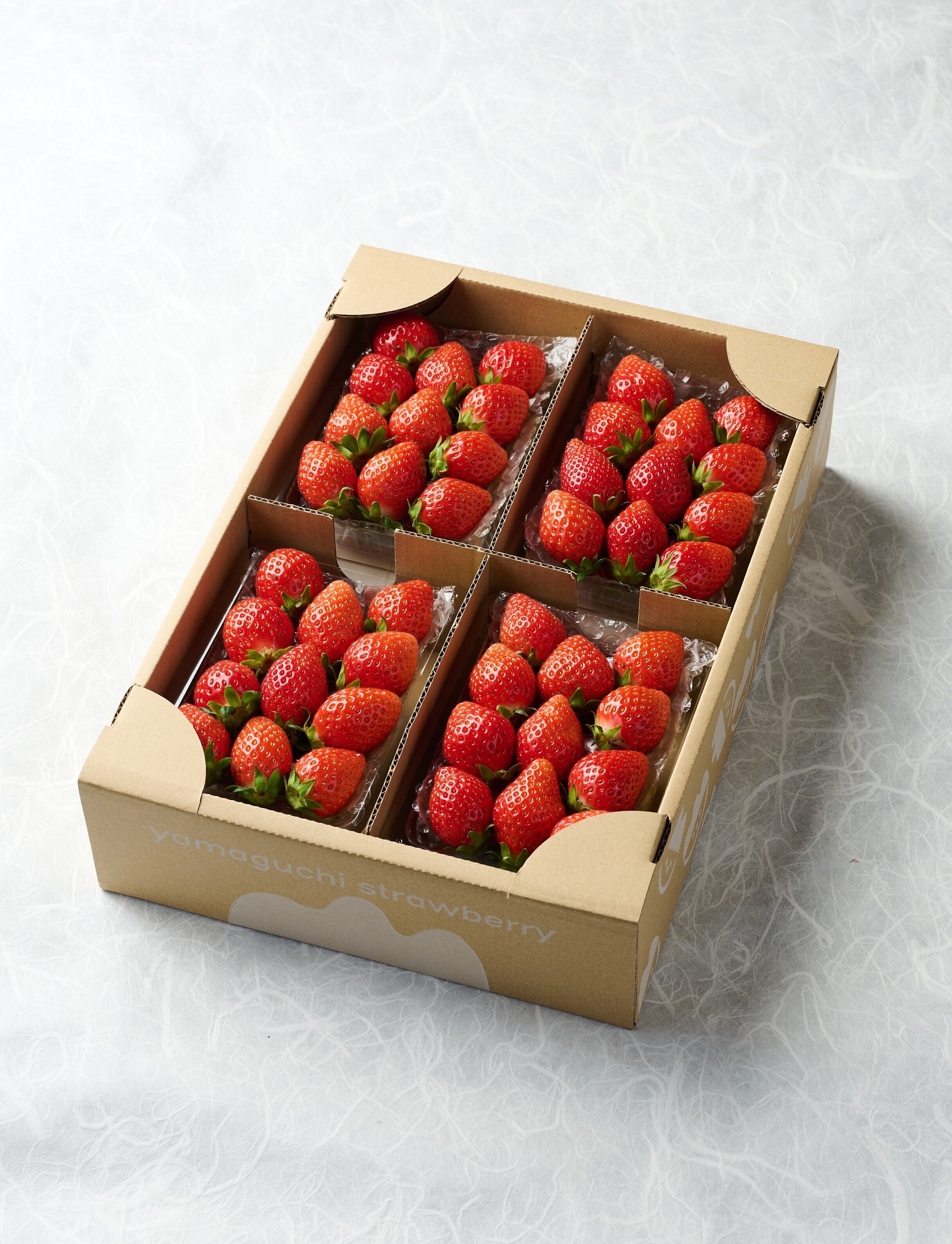 ☆美品☆ハイキングに最適☆ちいちいバッグ 初摘み予約】中身おまかせ「やよいひめ」レギュラーパック3箱 いちご