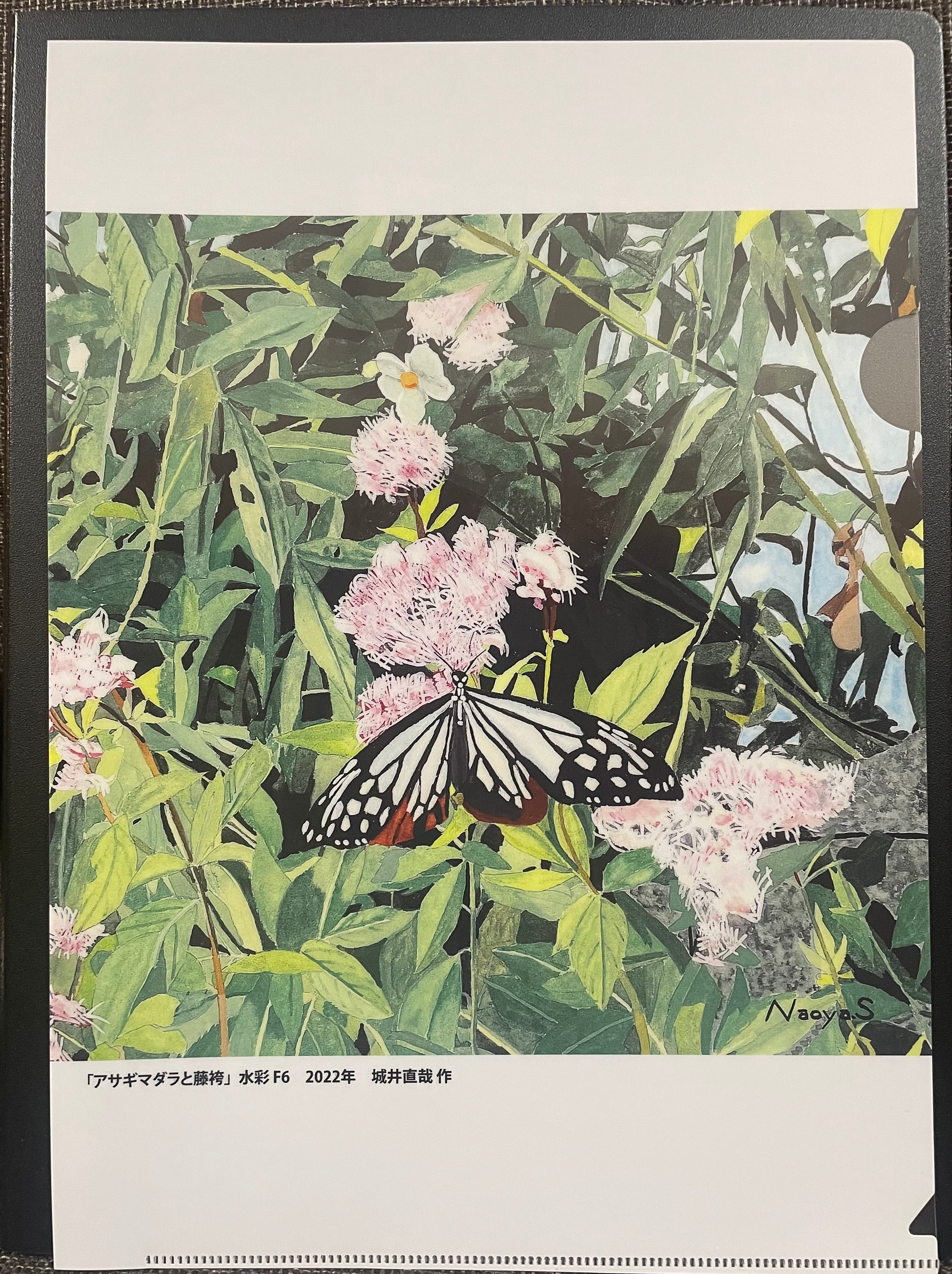 2026水彩画カレンダー A4壁掛けタイプ | アトリエ・えぬ