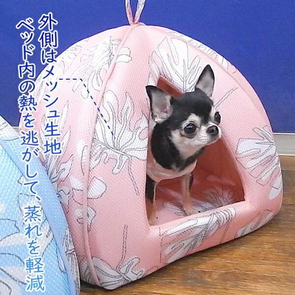 モンステラ ドームベッド ひんやり 接触冷感 クール メッシュ 洗濯