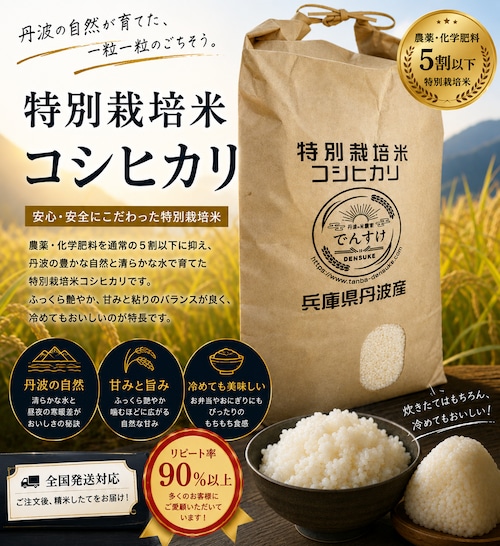 送料無料!8年産丹波産コシヒカリ 特別栽培米 5kg(精米)×1袋 (送料無料は北海道、沖縄除く)