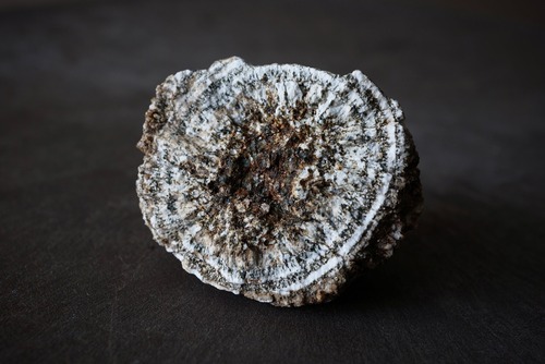 ナポレオン石 Napoleonite 871