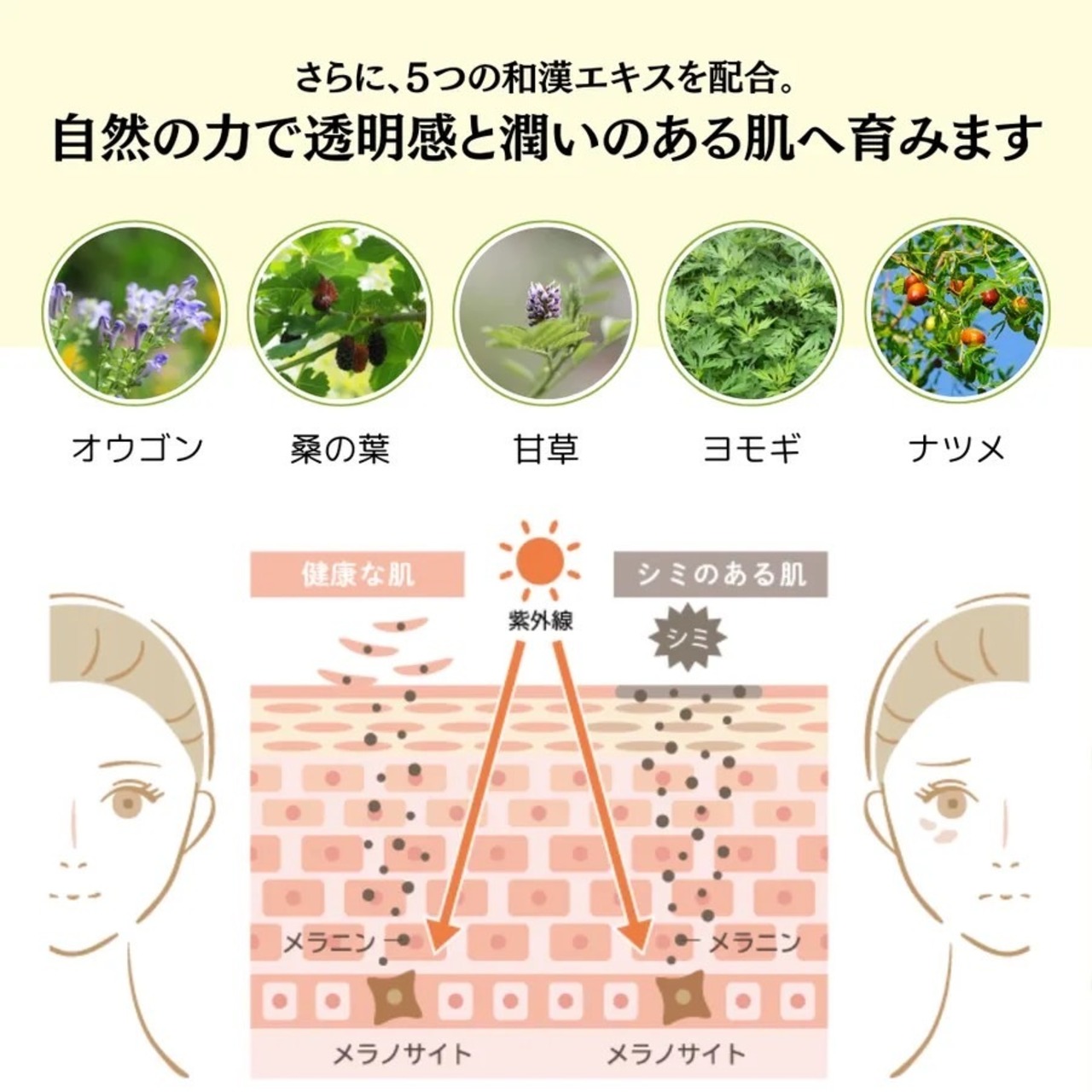 竹白和漢ローション150ml