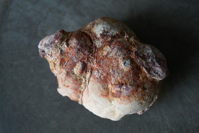 コールドマウンテン・サンダーエッグ Cold Mountain Thunderegg 1031