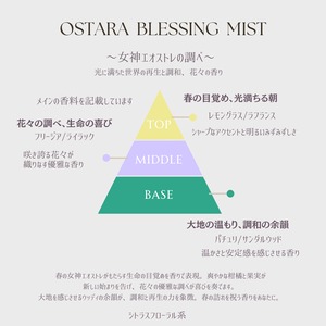 7/20まで国内便✬【Wheel of the year Blessing  Mist】フルコンプリート8本セット