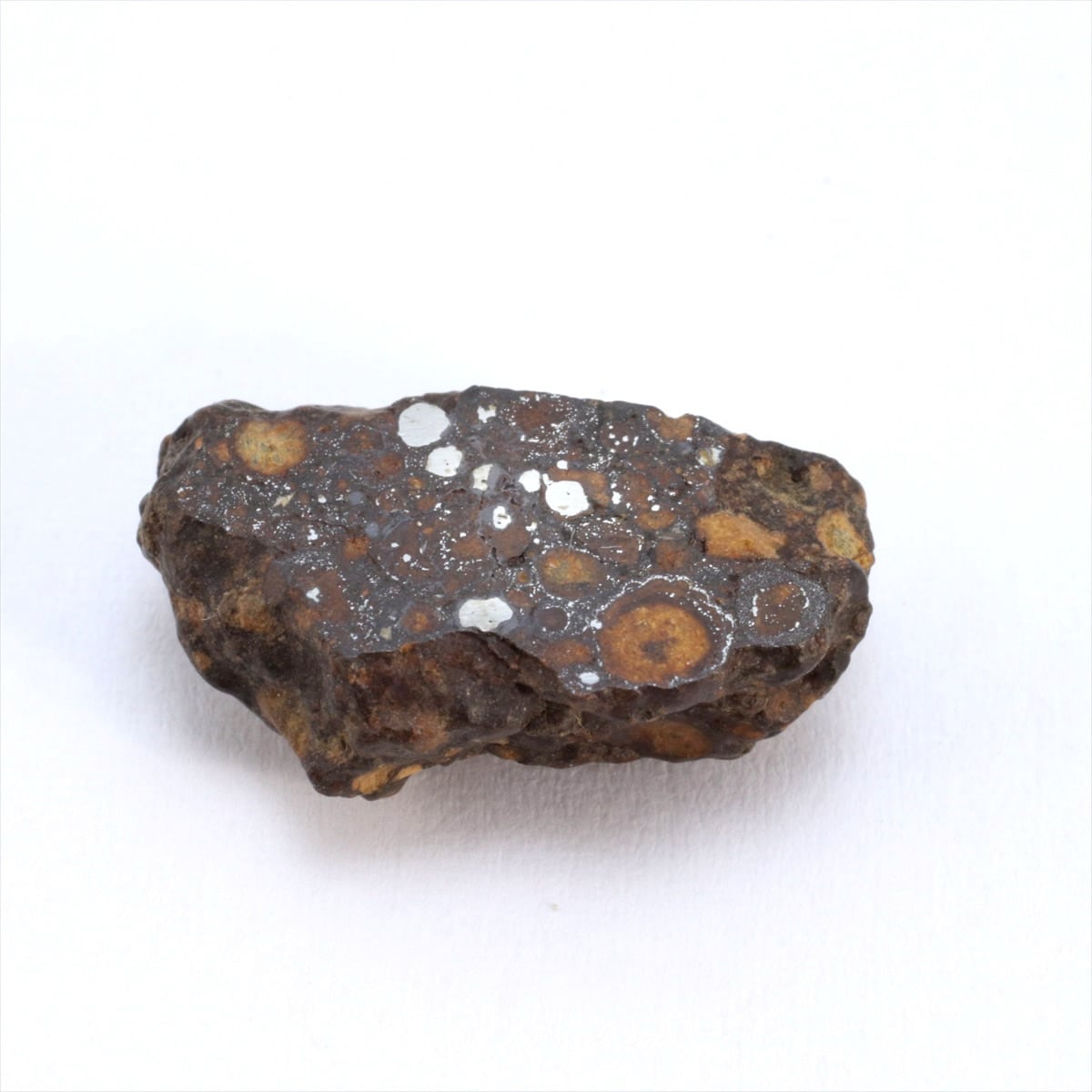 隕石 CV3 炭素質コンドライト(未分類) 炭素質コンドライト隕石スライス - 国内外の優れた伝統工芸品