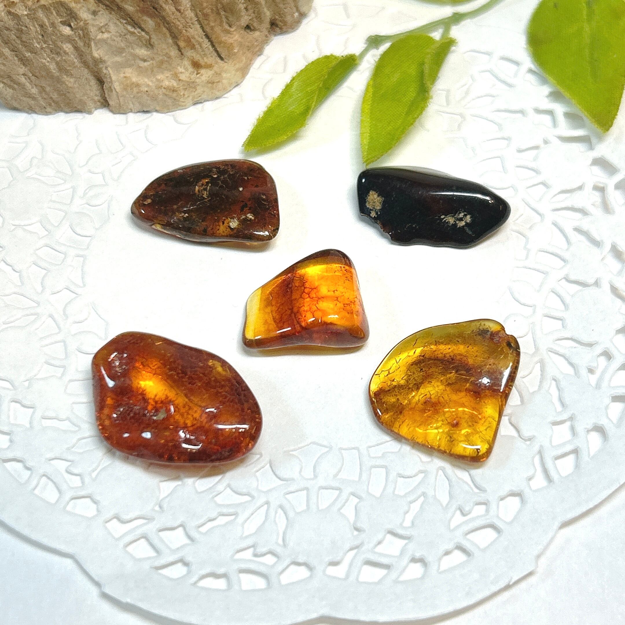 化石]琥珀・アンバー | クリスタル・ワールド御徒町店