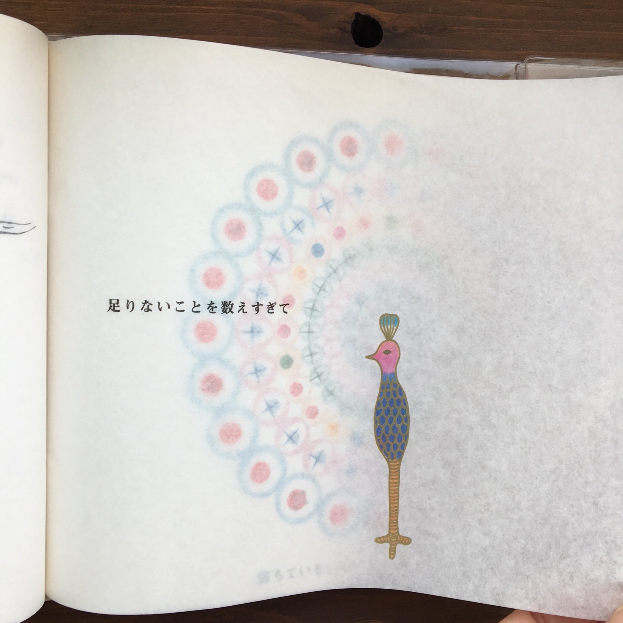 BROOCH (渡邊良重・内田也哉子)リトルモア