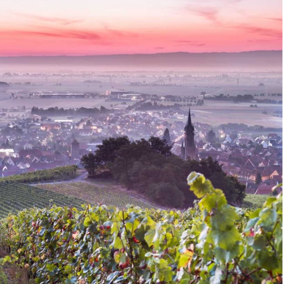 【シャルル・フレイ】 クレマン・ダルザス・エクストラ・ブリュット 2020