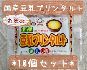 アレルギー対応♪　10個セット『お米de国産豆乳プリンタルト』＊冷凍デザート・給食デザート