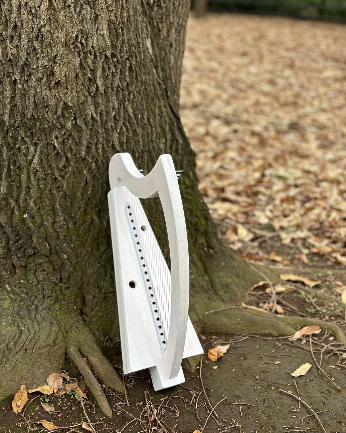 90b7c828cd2bbddb1e873529442912