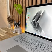 \ 公式ショップ限定価格❣️/ NVIDIA GPU搭載《メモリ32GB搭載》SSD1TB【Surface Book3】最上位i7対応 第10世代 ノートパソコン 安心サポート＆3ヶ月保証付き