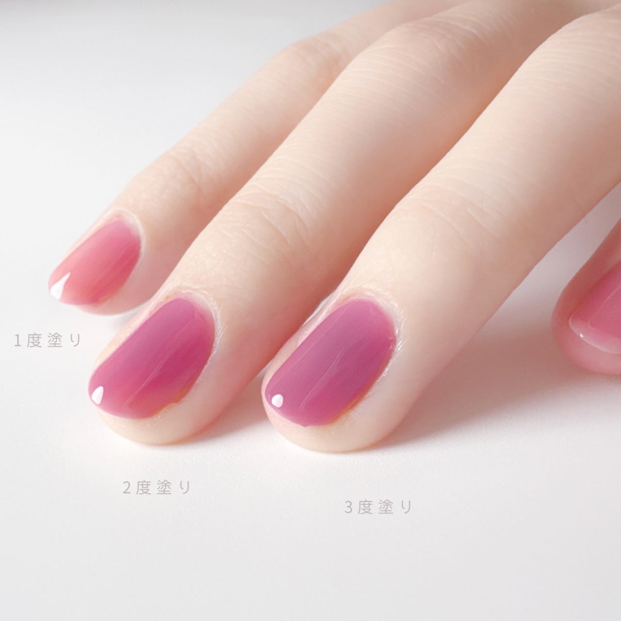 07 lavender land
