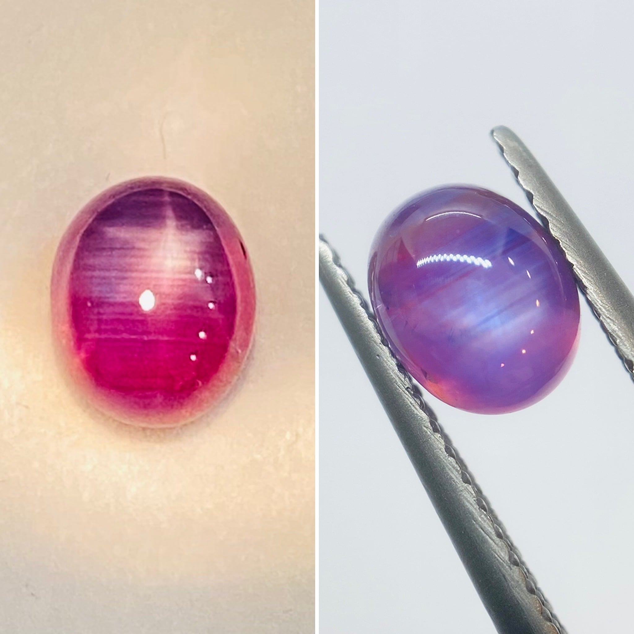 アイドル シルキーピンクの鮮やかスターサファイア