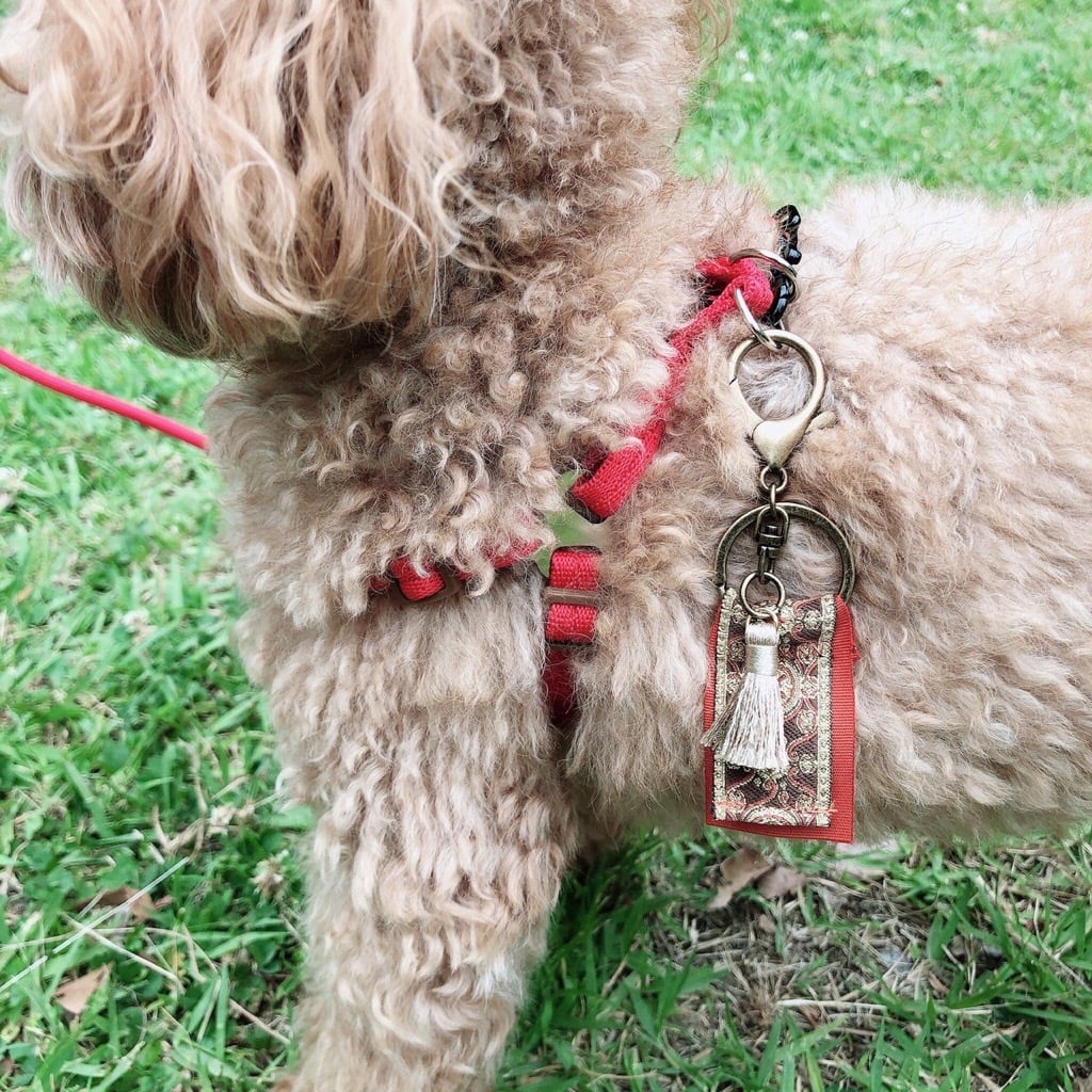 リード・ハーネス・首輪 3点セット(KA-006) | karluv.