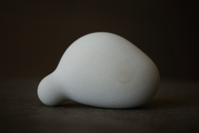 メニライトオパール Menilite Opal 1354