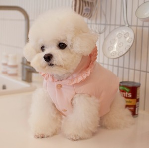 予約【cocochien】Cony Harness Padding (Pink)