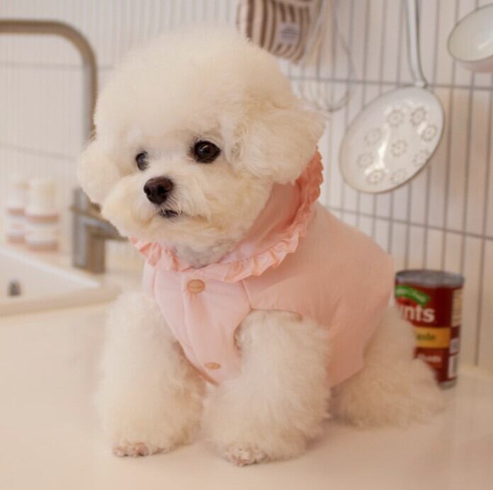 予約【cocochien】Cony Harness Padding (Pink)