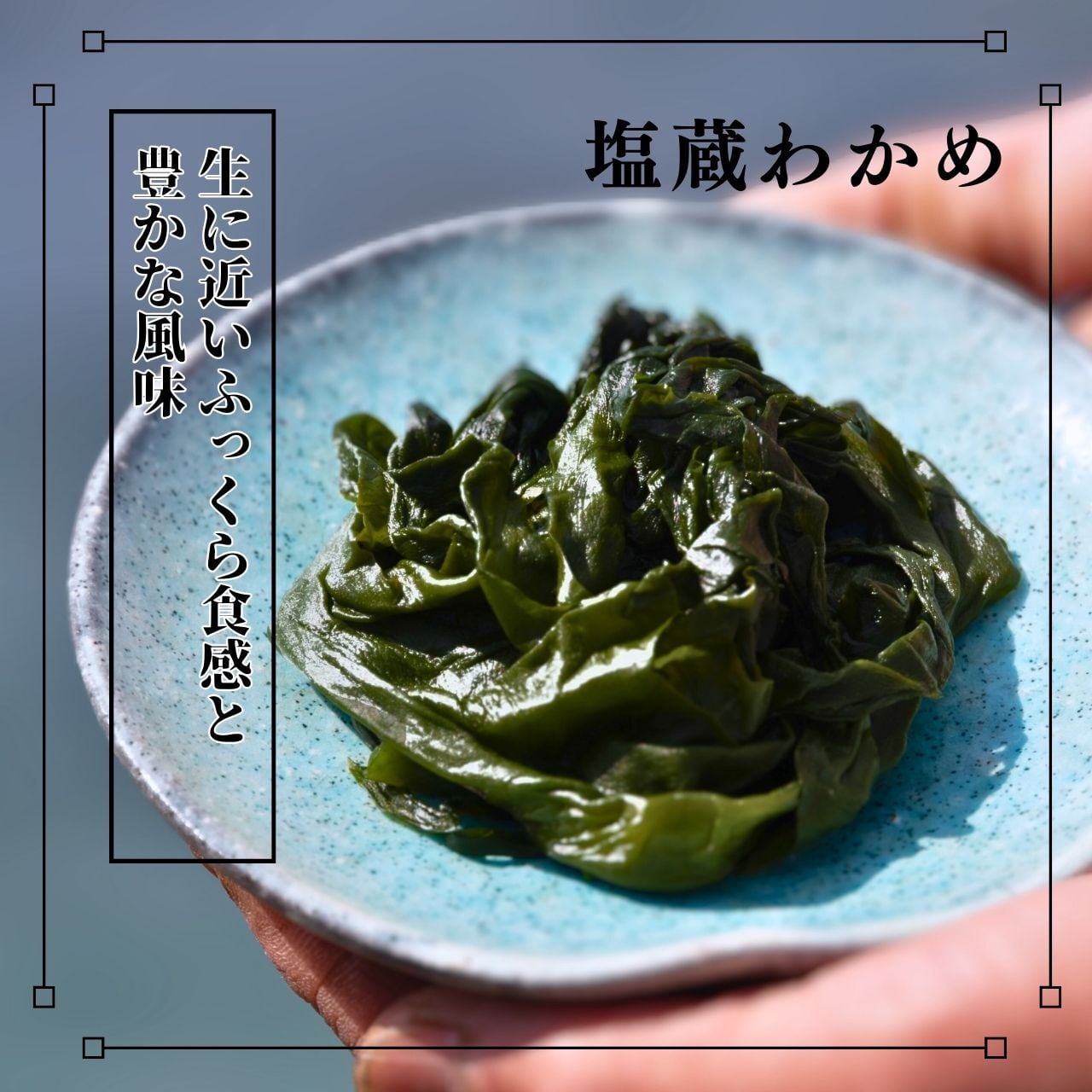 広島県倉橋島産】塩蔵わかめ（冷凍） 500g | 山陽丸水産