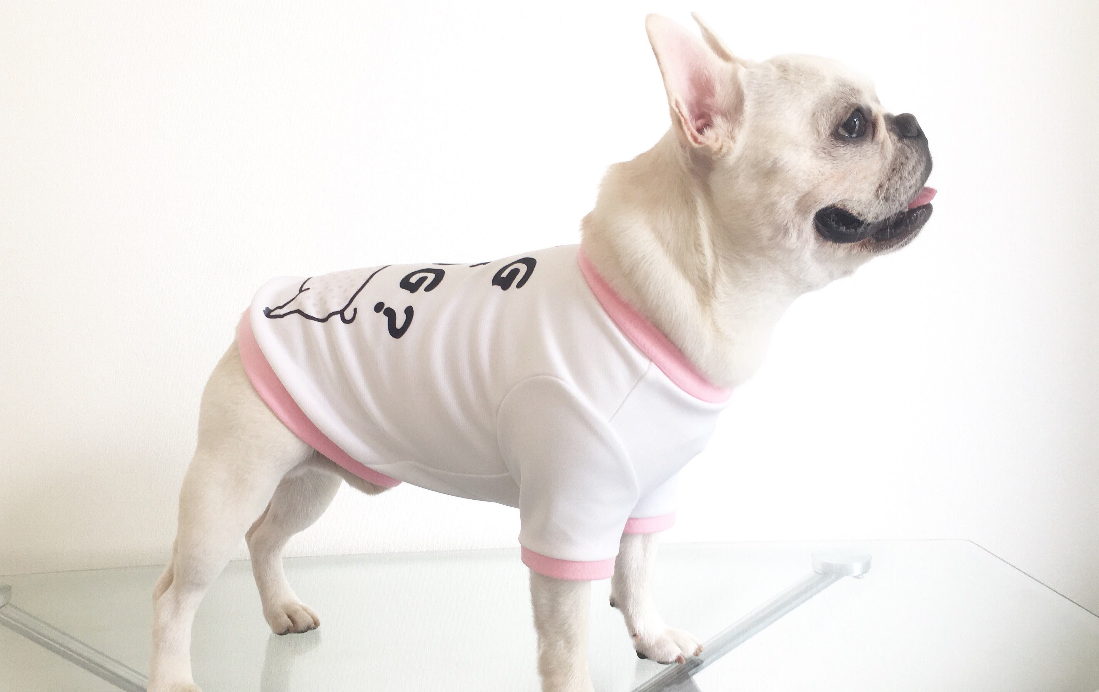 ブタさんタンクトップ | 犬服BUTTER