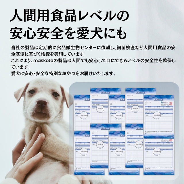 maskota 無添加 手作り 国産 鶏むね肉巻きリンゴ  ペットおやつ ドライフード ガム 200g