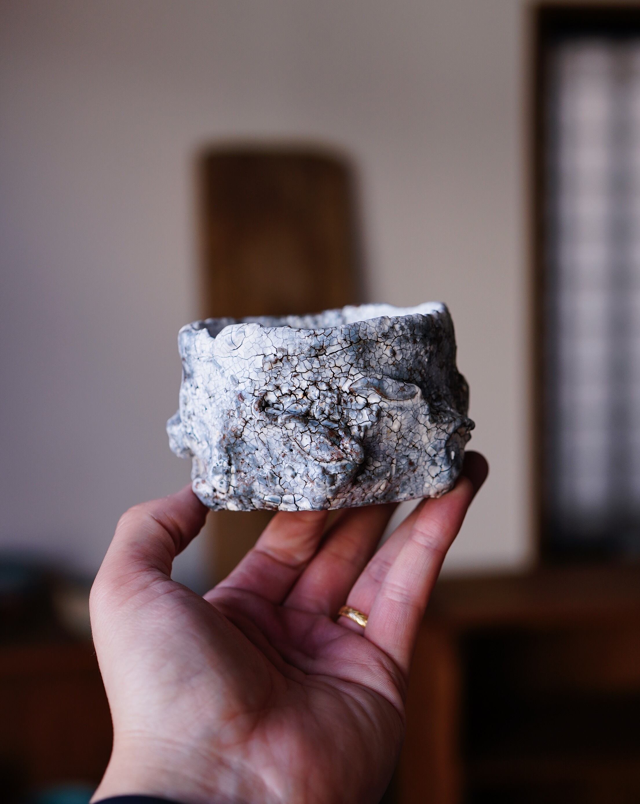 植木鉢 / 阪本健 | hitsujitoyagi