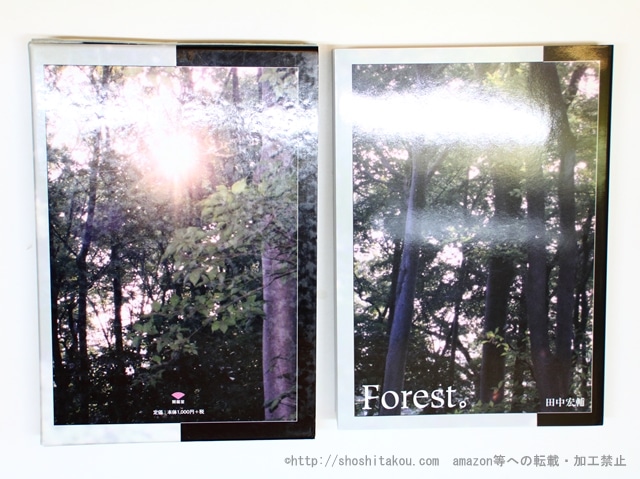 Forest。　/　田中宏輔　　[35856]