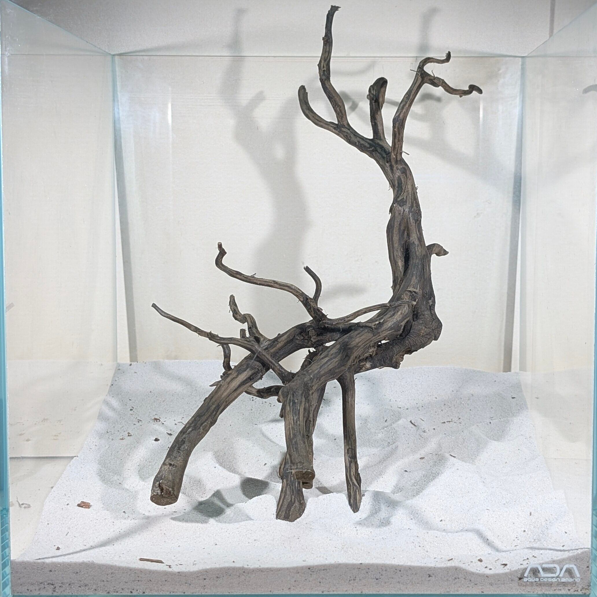 スマトラブランチウッド【SBC134】アクアリウム 水槽 流木 まとめ買い