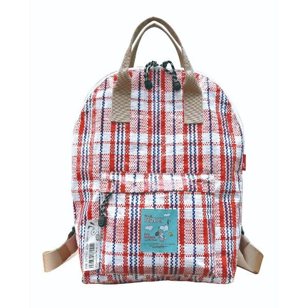 TDL 東京ディズニーランド ワンマンズドリーム2 実写柄 リュック タグ