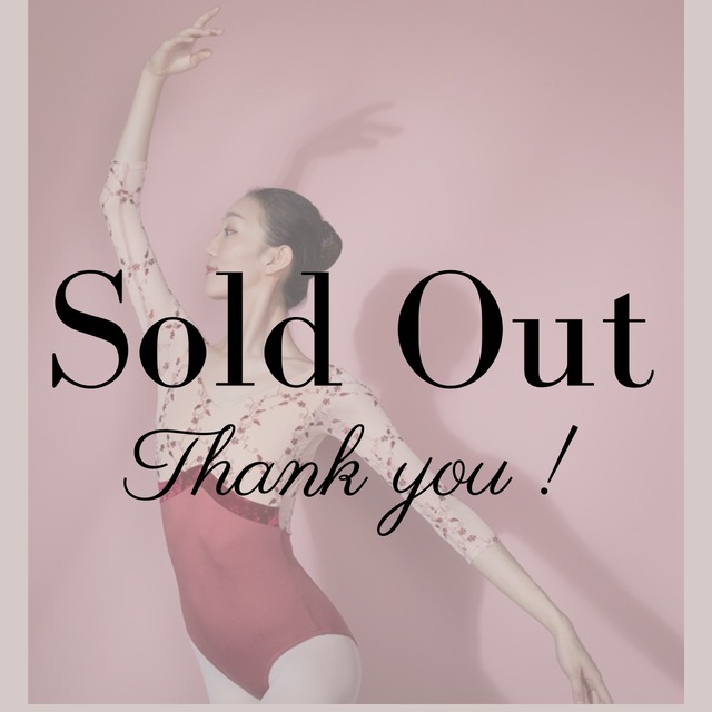 ポイントベロア　刺繍スリーブ　バレエレオタード（レッド）