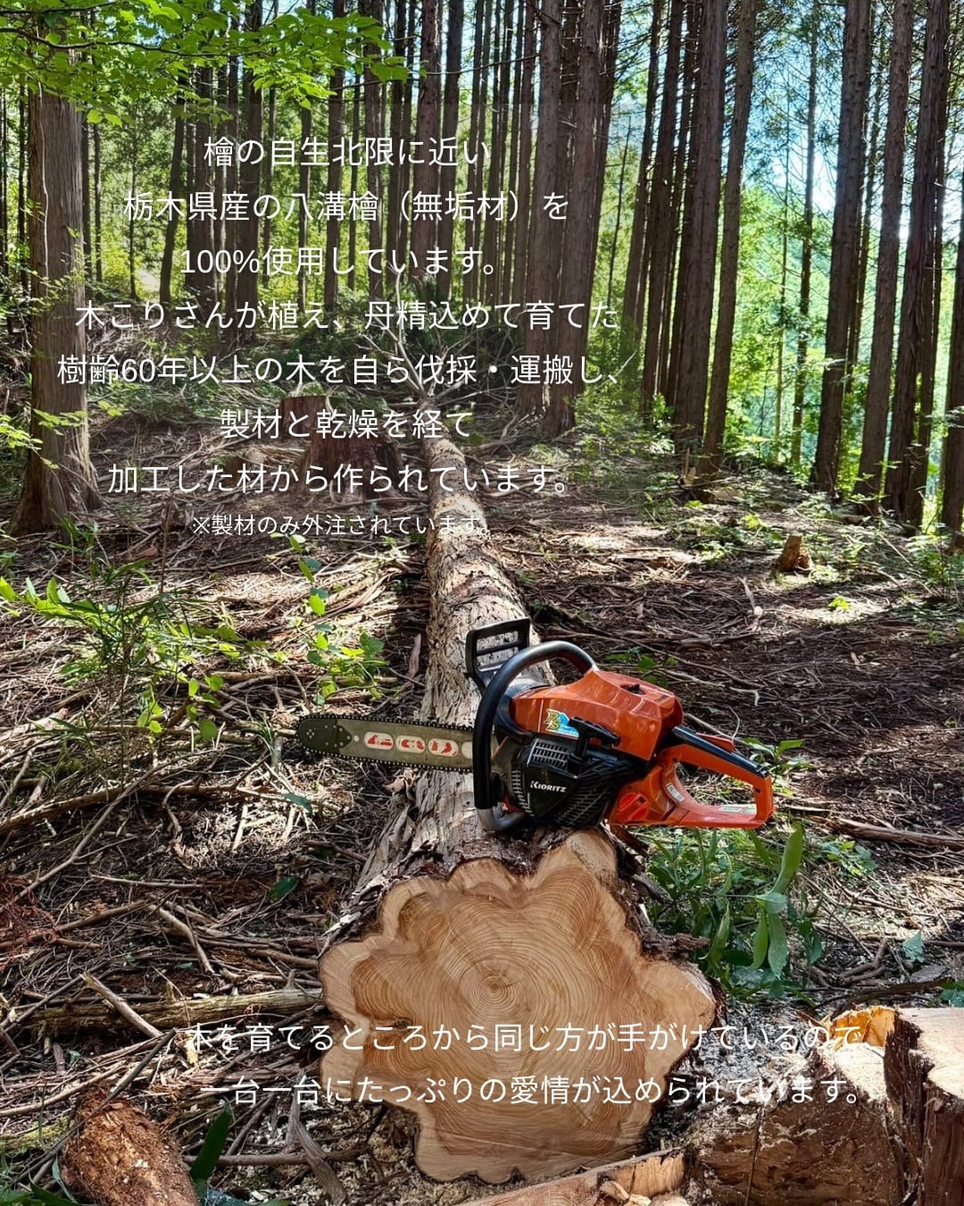 5月下旬頃発送】【国内産】ボルガクーファンスタンド | Tsumugu