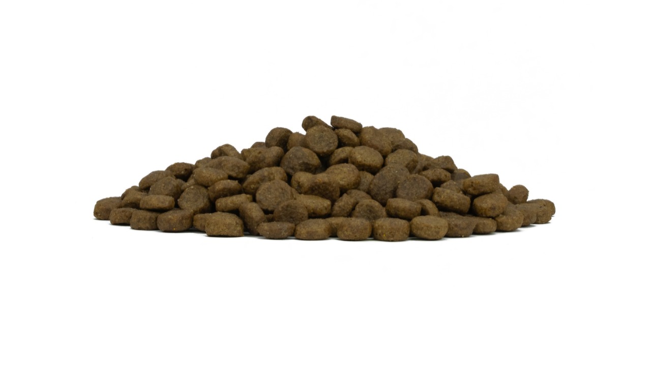 FORZA10 デイリープロ アダルトミニ 小粒 フィッシュ 3.6kg・画像2