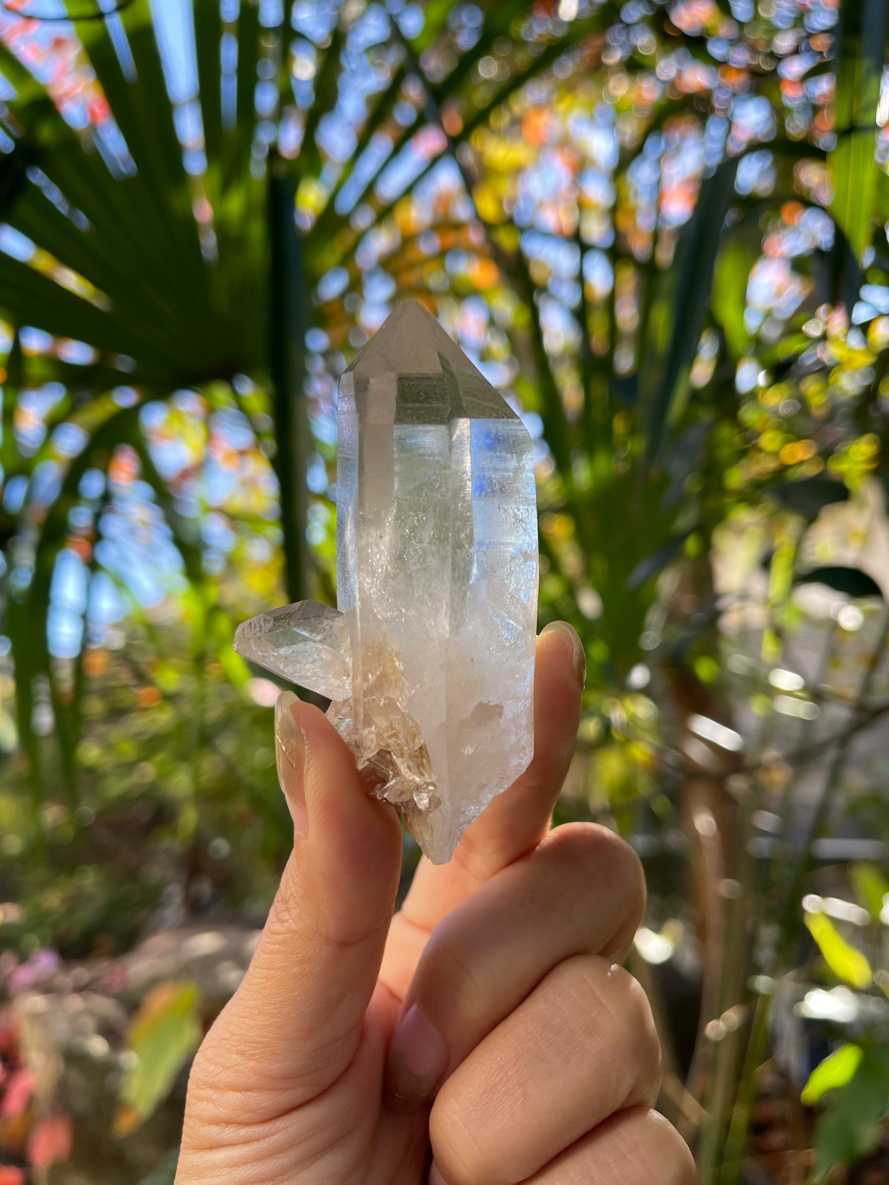Himalayan samadhi quartz / ヒマラヤサマディクオーツ