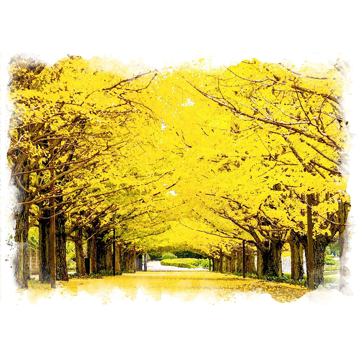 絵画 日本 東京都 昭和記念公園 イチョウ並木 風景画 インテリアアート 