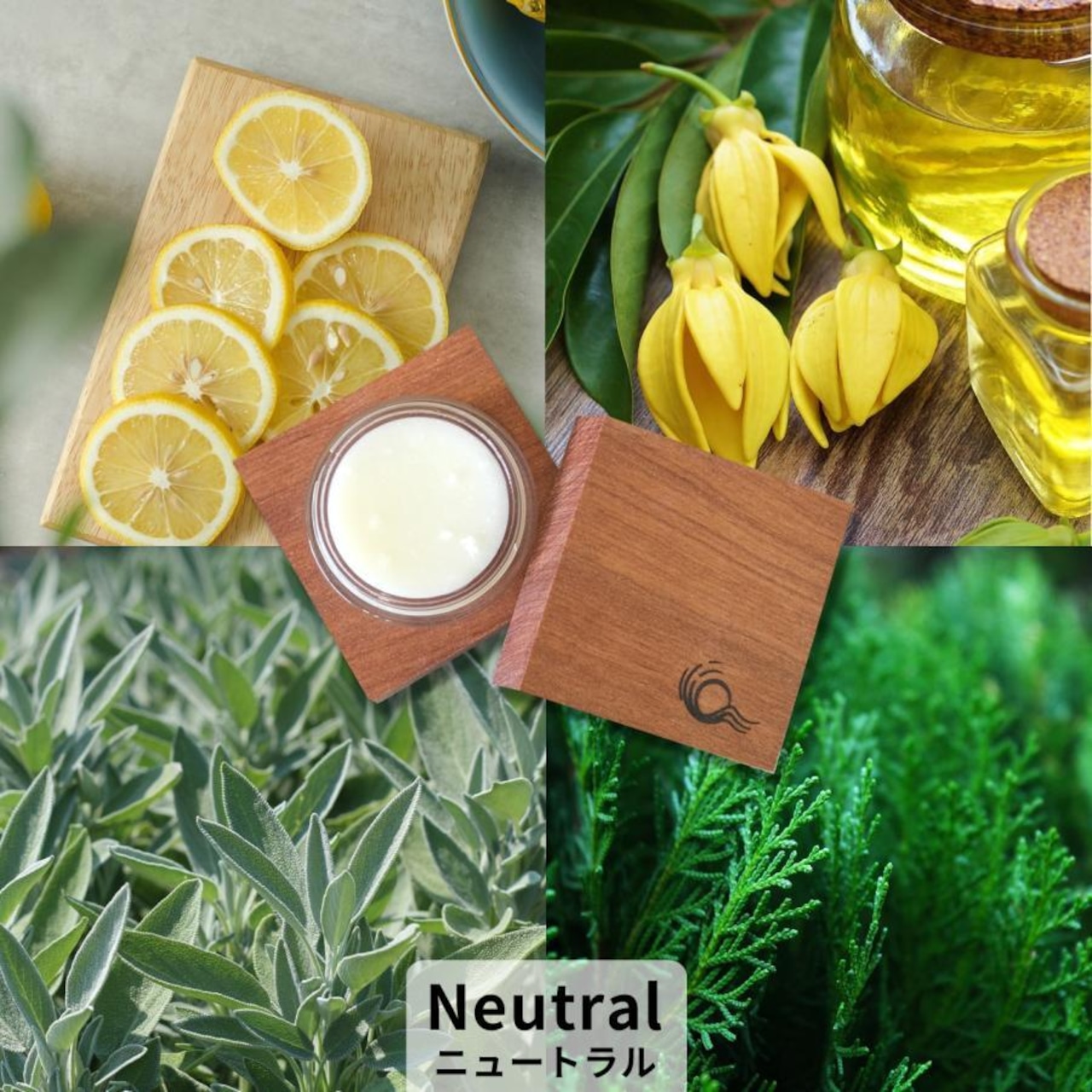 練り香水 メンズ レディース 天然 アロマオイル アロマレコルト ソリッドパフューム 塗る 練香水