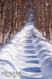 【ポストカード】雪回廊