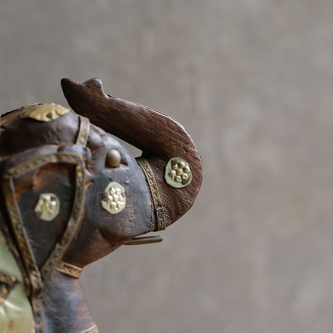 インドからやって来た、プリミティブな象 7