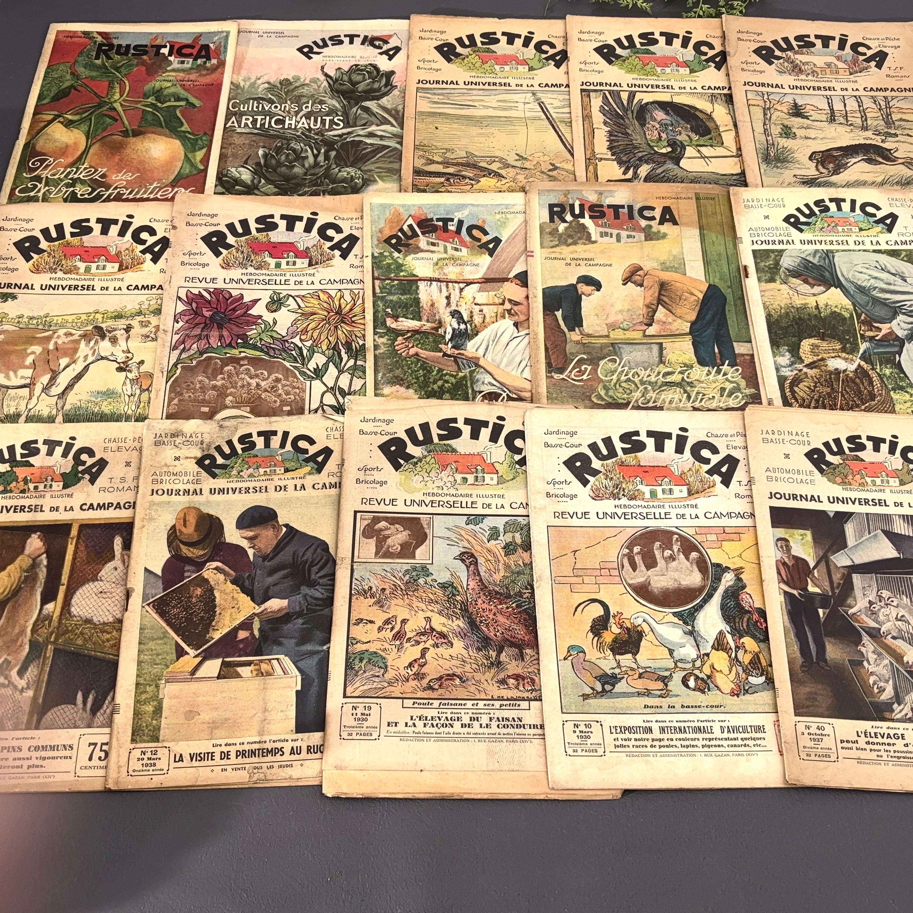 古い紙もの | べるりんのーと ANTIQUE & VINTAGE